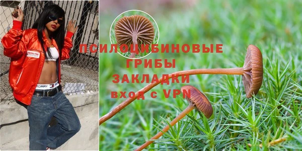 мяу мяу кристалл Аркадак