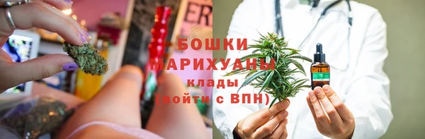 молекула духа Арсеньев